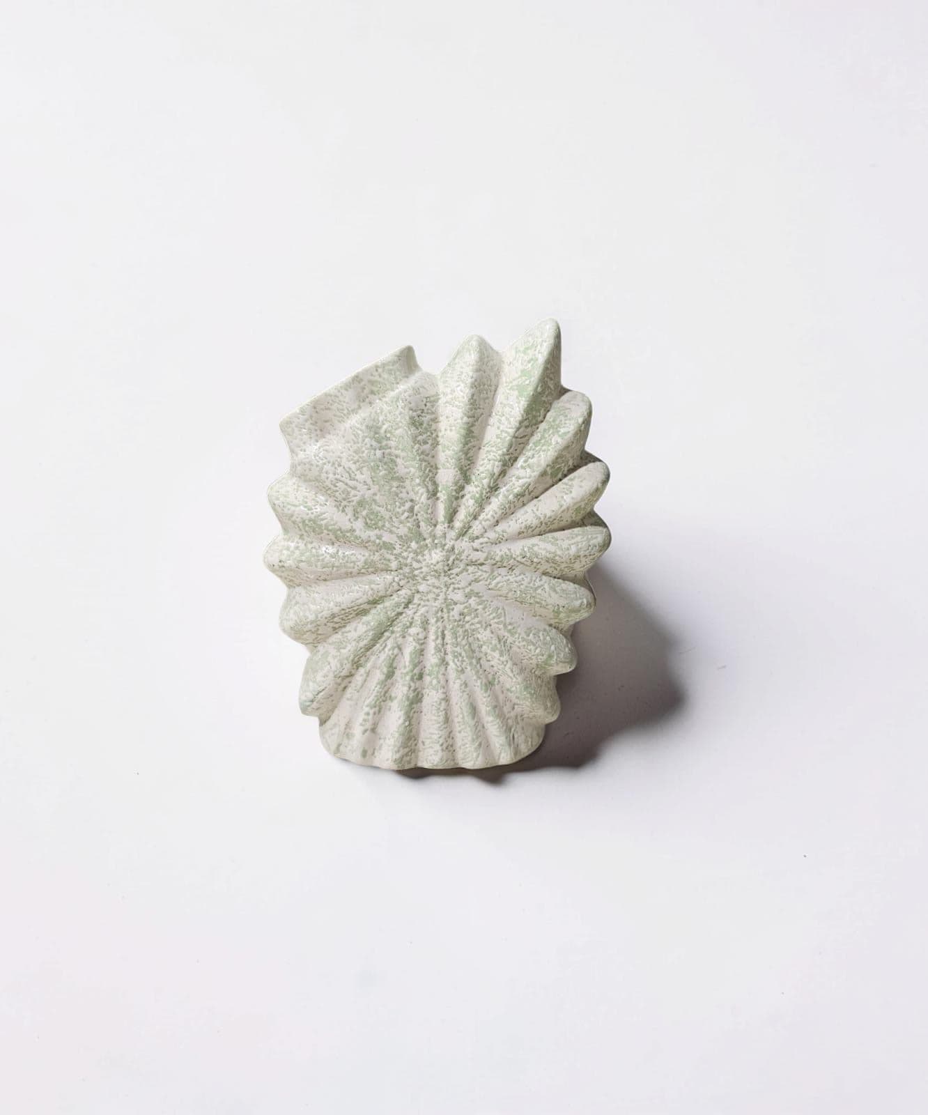 Coral Fan Vase