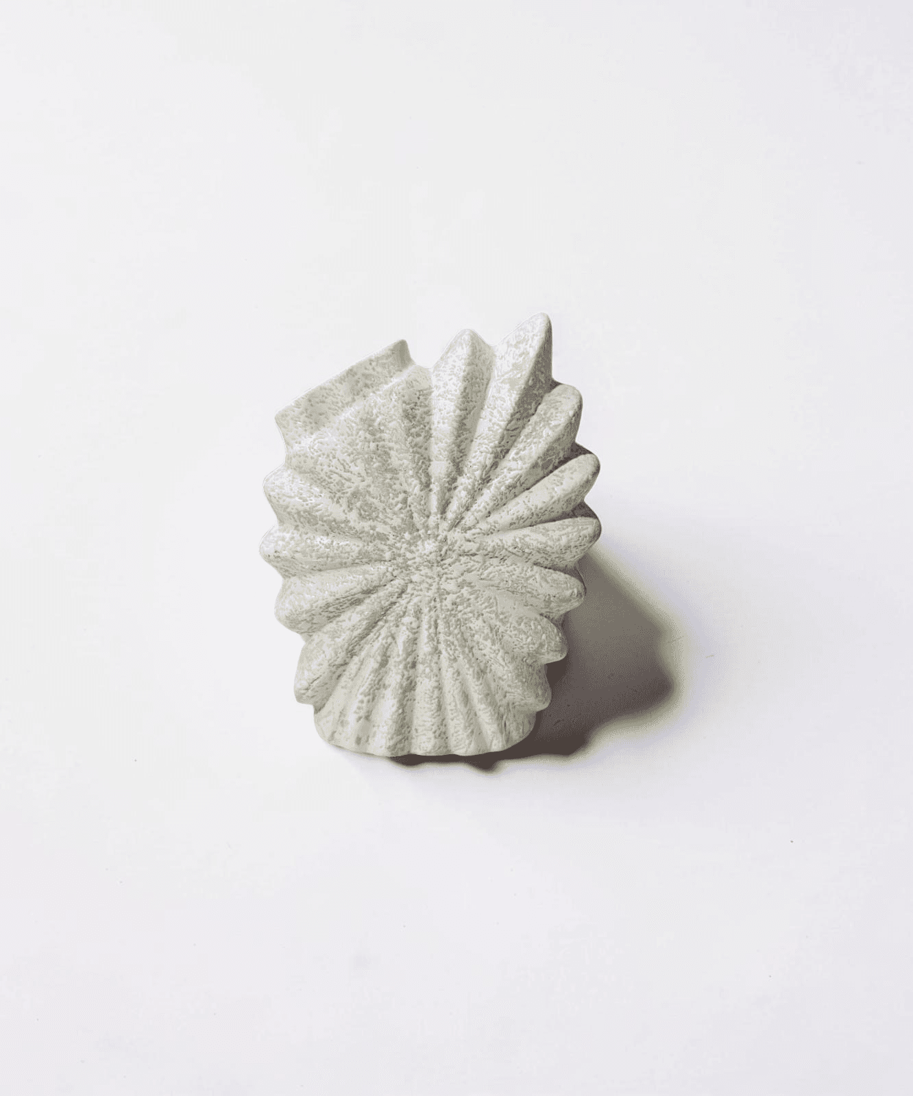 Coral Fan Vase